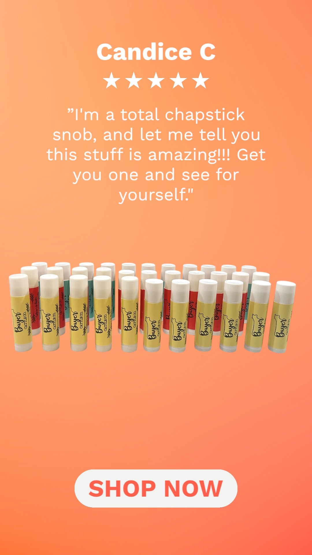 Tallow Lip Balm - Vanilla Mint