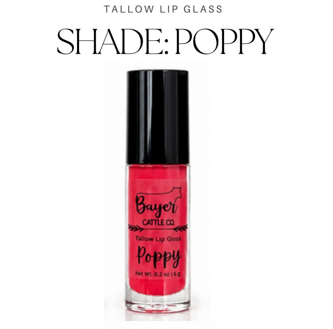 Makeup | Tallow Lip Glass